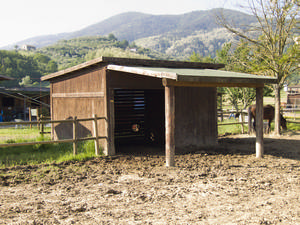 box esterno in legno